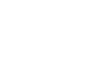 NOEL-LEEMING